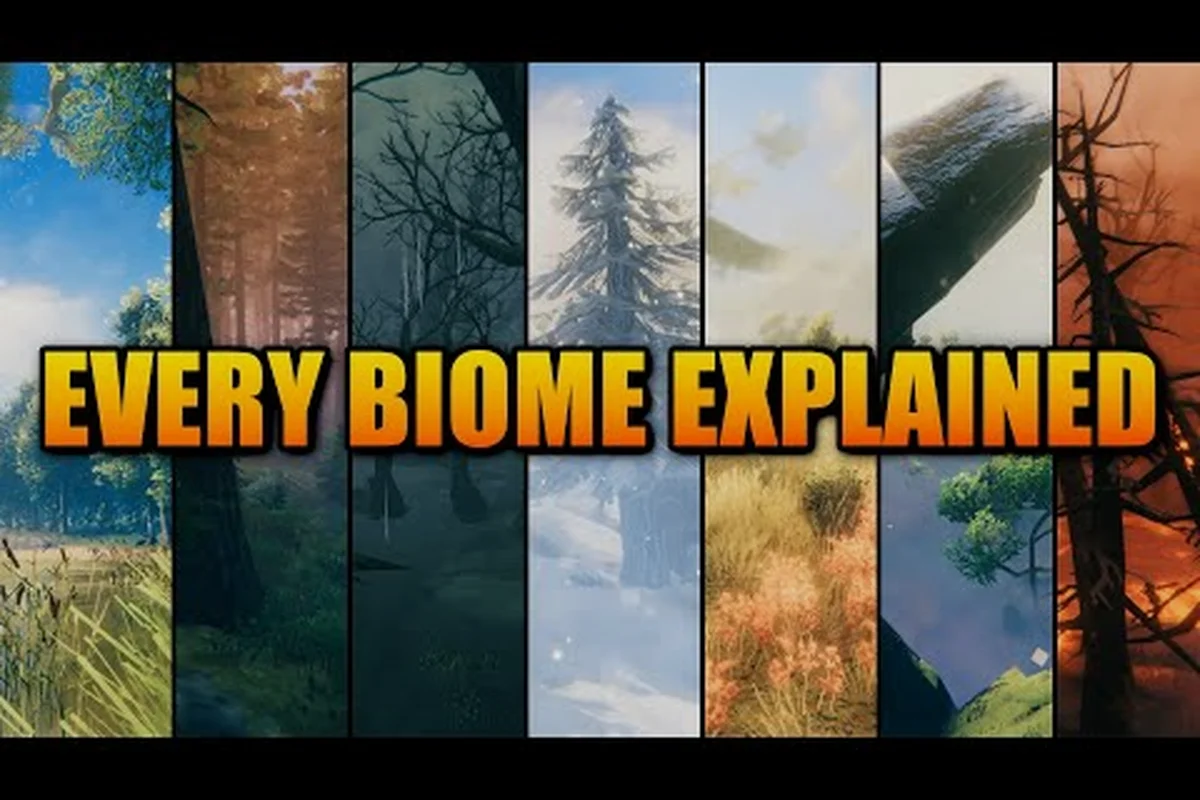 Valheim Biome Order: Eight Biomes From Meadows to Deep North
